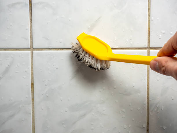 Best Mold Testing  in Rosemont, CA