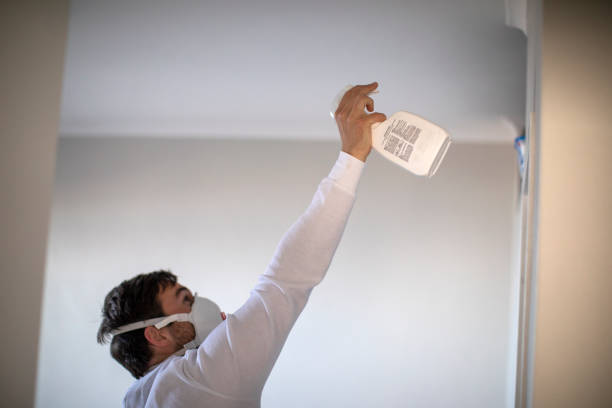 Best Mold Removal Company Near Me  in Rosemont, CA