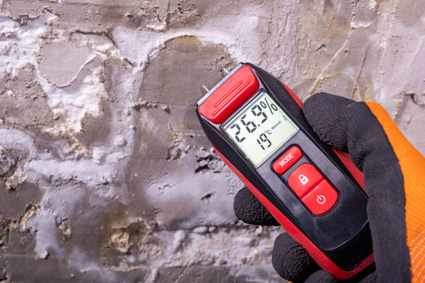 Best Mold Testing  in Rosemont, CA
