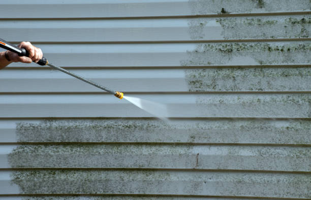 Attic Mold Removal in Rosemont, CA