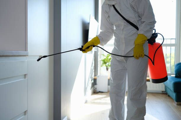 Best Mold Removal Process  in Rosemont, CA